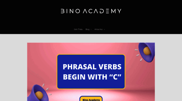 binoacademy.vn