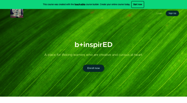 binspired.teachable.com