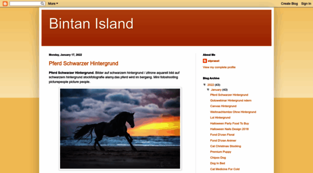 bintan-islands.blogspot.com