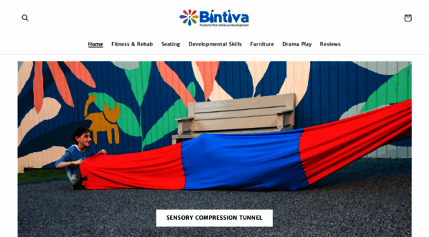 bintiva.com