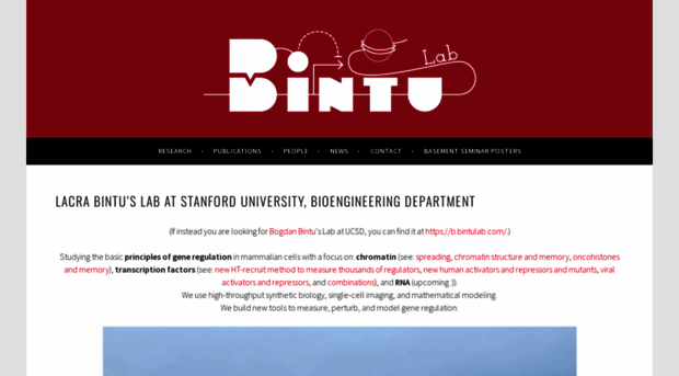 bintulab.com