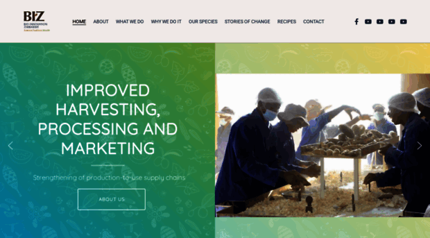 bio-innovation.org