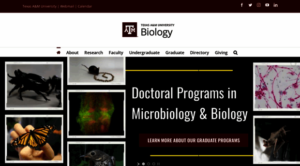 bio.tamu.edu