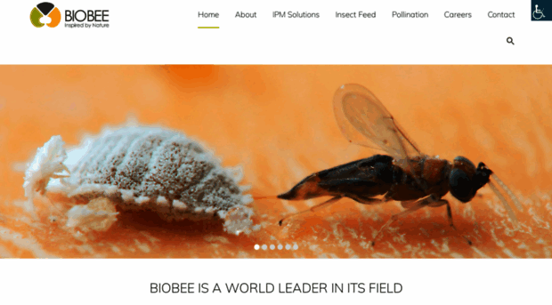 biobee.co.za