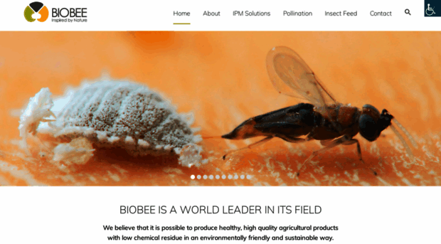 biobee.com