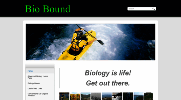 biobound.weebly.com