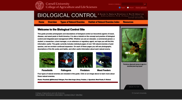 biocontrol.entomology.cornell.edu