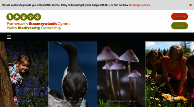 biodiversitywales.org.uk