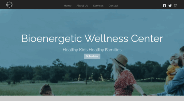 bioenergeticwellnesscenter.com