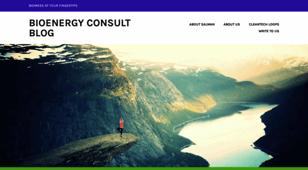 bioenergyconsult.wordpress.com