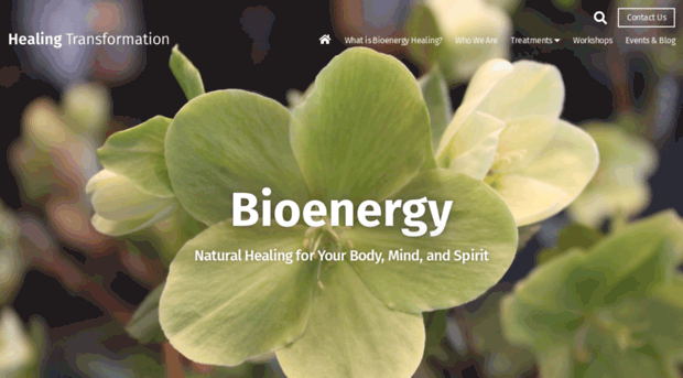 bioenergytoronto.com