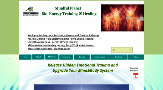 bioenergytraining.com