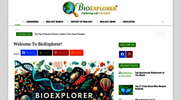 bioexplorer.net