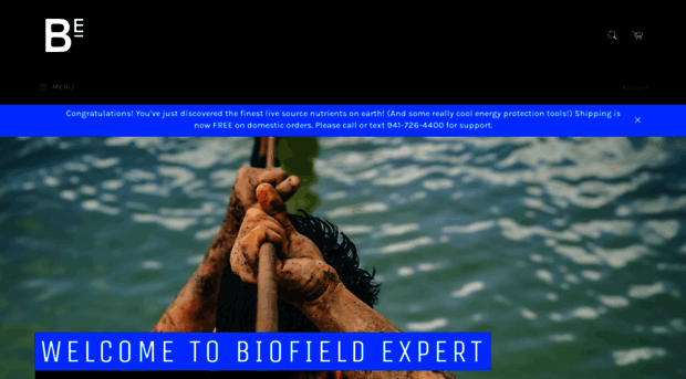 biofieldexpert.com