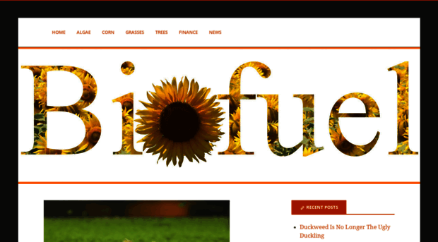 biofuelshub.com