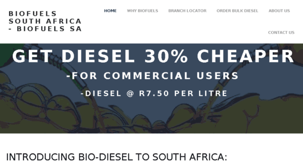 biofuelssa.com