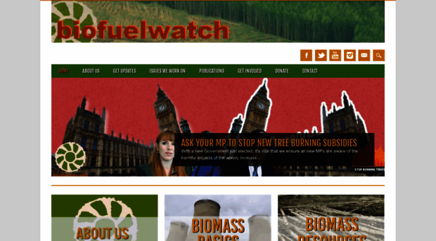 biofuelwatch.org.uk