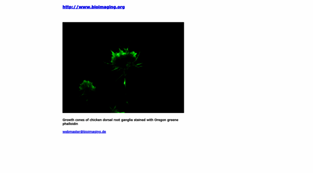 bioimaging.de