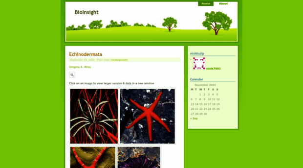 bioinsight.wordpress.com