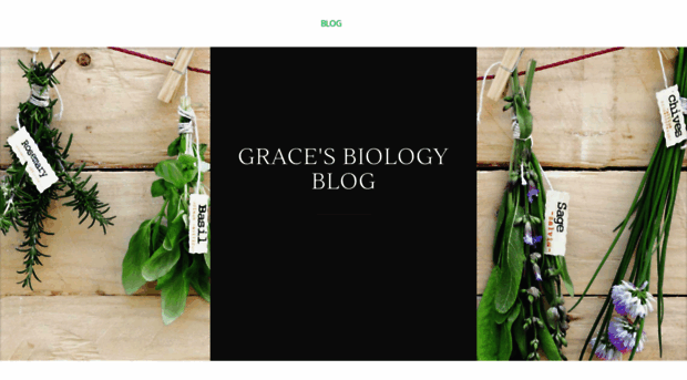 biology3a-grace.weebly.com