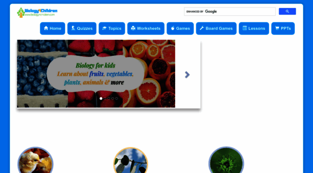 biology4children.com