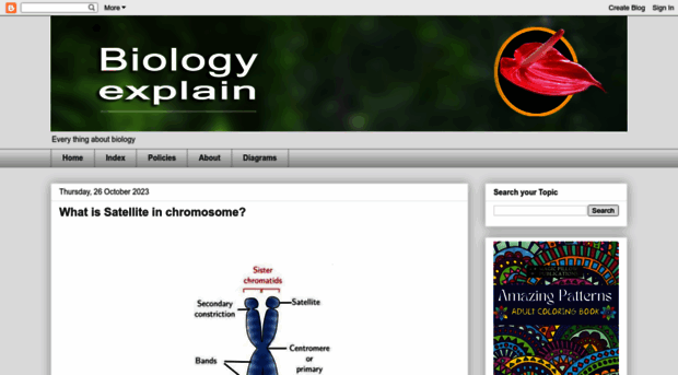 biologyexplain.blogspot.in