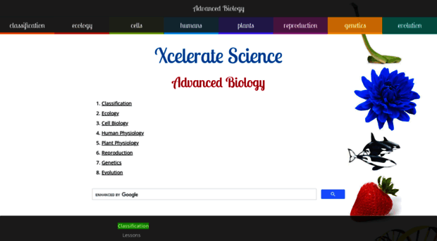 biologyisfun.com