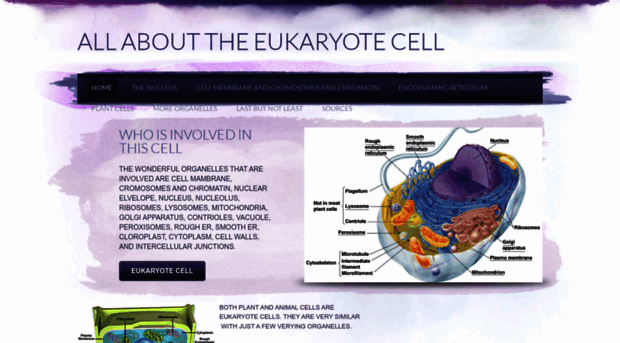 biologysmith.weebly.com