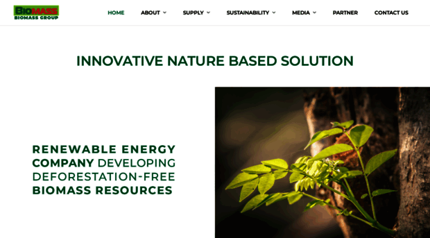 biomass-group.com