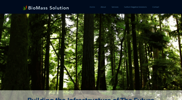 biomasssolution.com