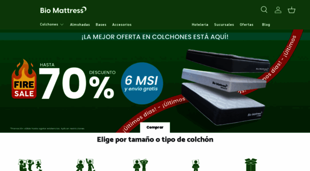 biomattress.com.mx