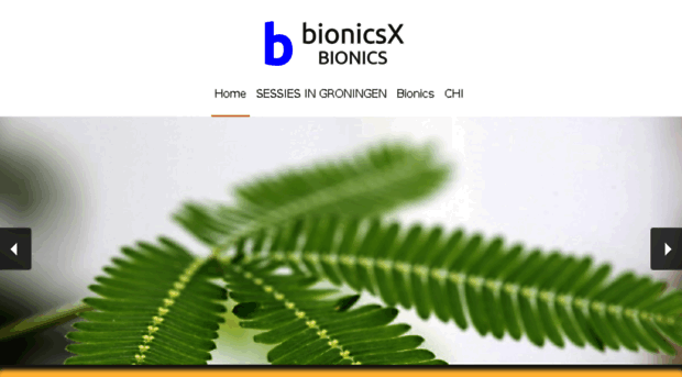 bionicsx.com
