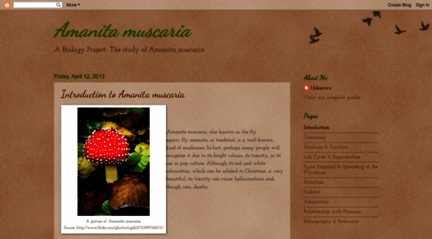 bioprojectsophialuamanitamuscaria.blogspot.com