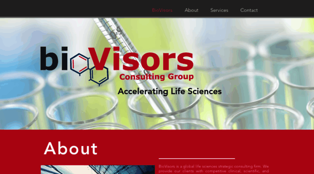 biovisorsconsulting.com