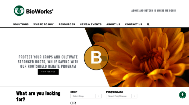 bioworksinc.com