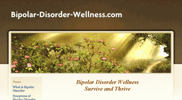 bipolar-disorder-wellness.com