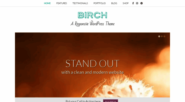 birch.bottomlessthemes.com