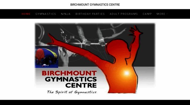 birchmountgymnastics.com