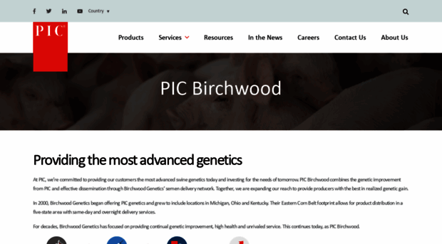 birchwoodgenetics.com