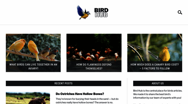 bird-hub.com