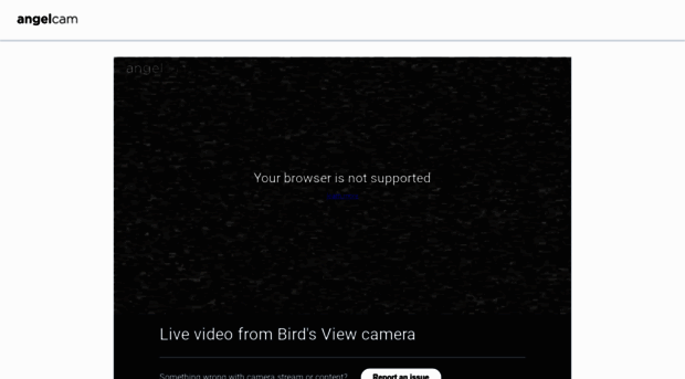 bird-s-view.click2stream.com