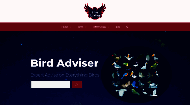 birdadviser.com