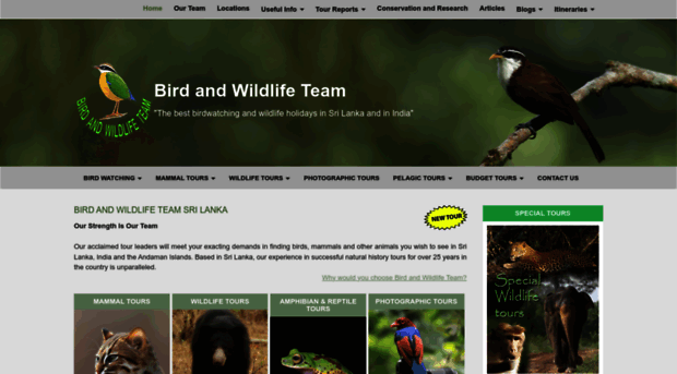 birdandwildlifeteam.com