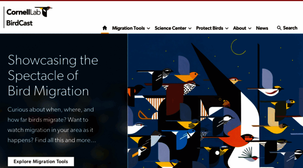 birdcast.org