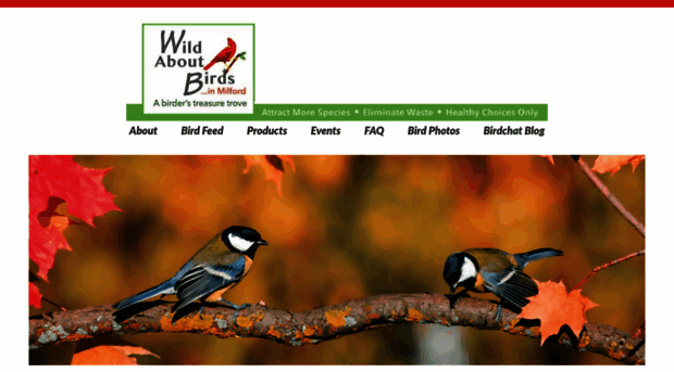 birdchat.com