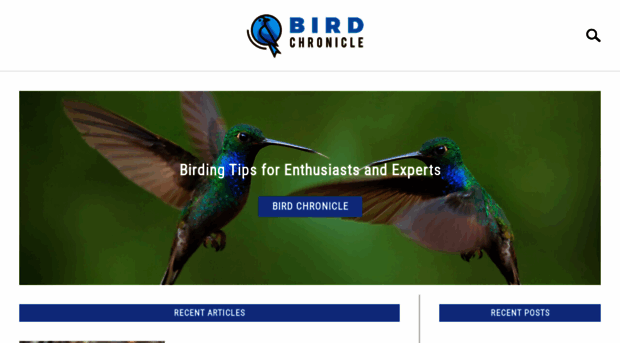 birdchronicle.com