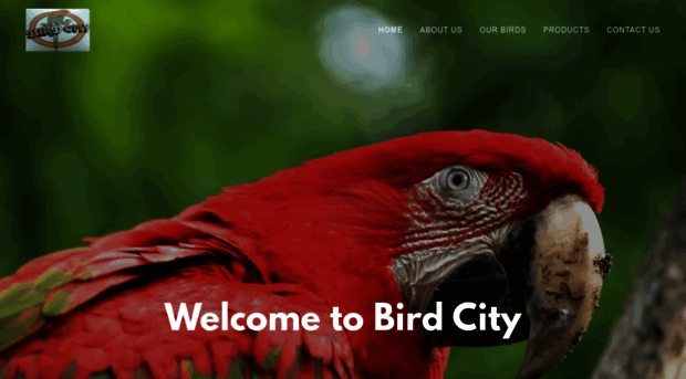 birdcity.com.au