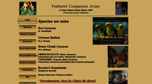 birdcompanions.com