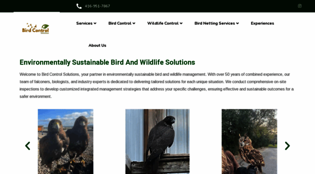 birdcontrolsolutions.ca