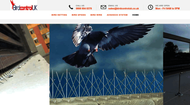 birdcontroluk.co.uk